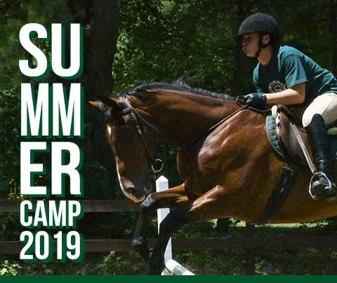 Horseback Riding Summer Camp