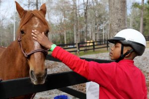 Horseback Riding Camps in PA
