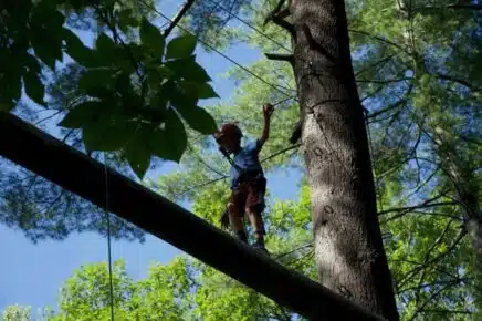 team building on outdoor ropes course